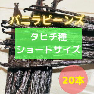 ２０本入り【タヒチ種バニラ・ショートサイズ（14-15cm）】