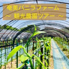 奄美大島でオススメの観光スポット！超希少なバニラビーンズ農園を見学しに行こう！